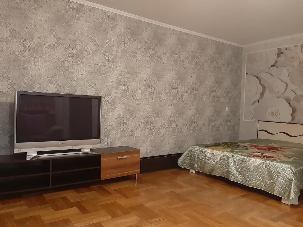 Апартаменты Apartment studio Пинск-29